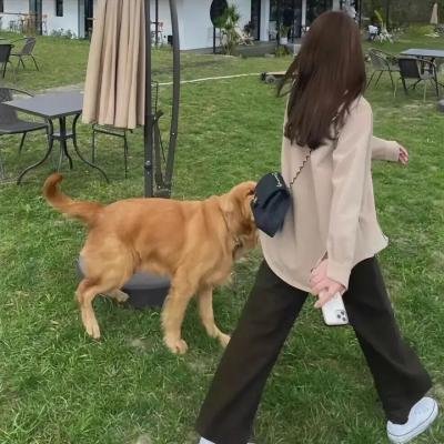 工会女仆海报